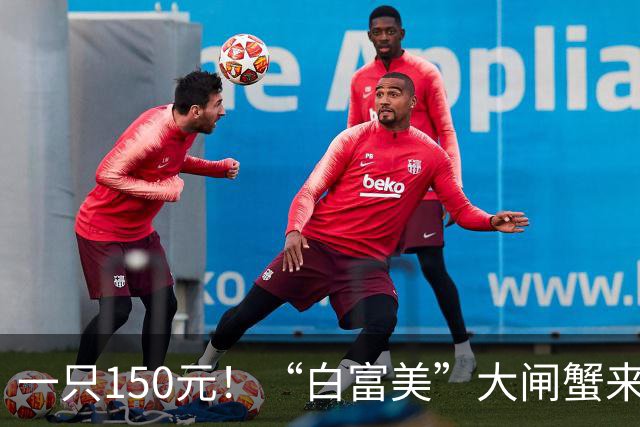 一只150元！“白富美”大闸蟹来了