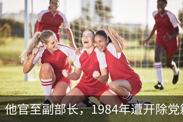 他官至副部长，1984年遭开除党籍，晚年定居美国生活