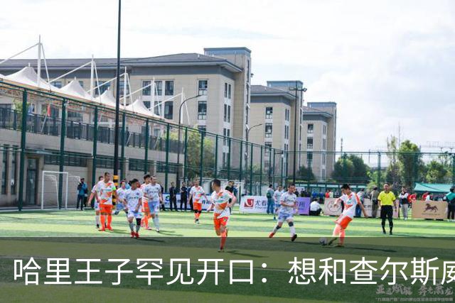 哈里王子罕见开口：想和查尔斯威廉和解，有人不希望