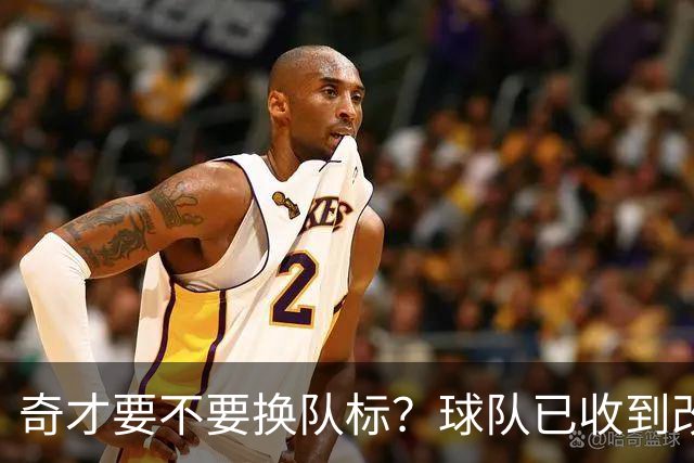 奇才要不要换队标？球队已收到改版请求，球迷投票定夺