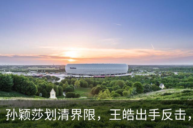 孙颖莎划清界限，王皓出手反击，樊振东发文痛斥，乒坛要大洗牌了