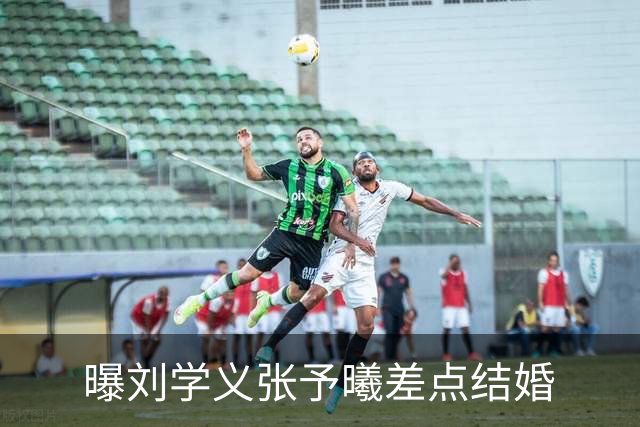 曝刘学义张予曦差点结婚