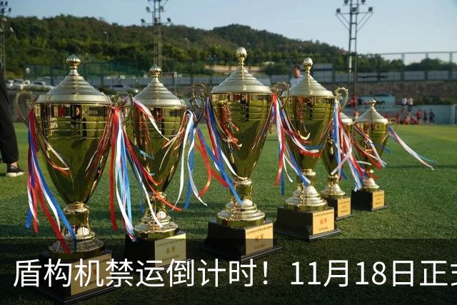盾构机禁运倒计时！11月18日正式实施，印度地铁还能按期完工吗？