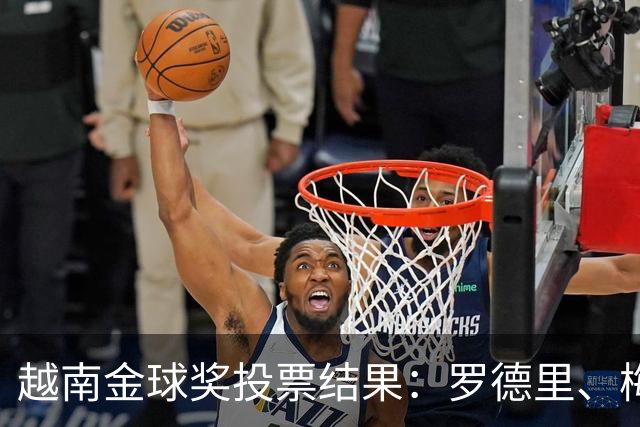 越南金球奖投票结果：罗德里、梅西、凯恩、亚马尔前4，费兰第10