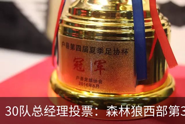30队总经理投票：森林狼西部第3，却又被选为最难预测