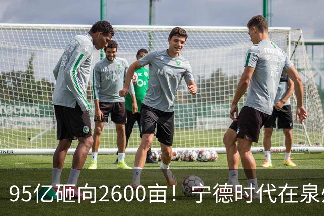 95亿砸向2600亩！宁德时代在泉州“造城”