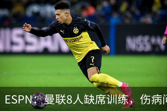 ESPN：曼联8人缺席训练，伤病问题加重